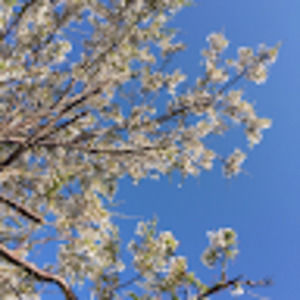 Meet your Posher, Vivien